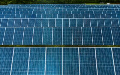 Why Should My Business Go Green?